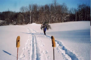 2004TreeHauling.jpg