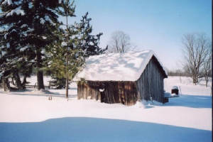 2004Wellhouse.jpg